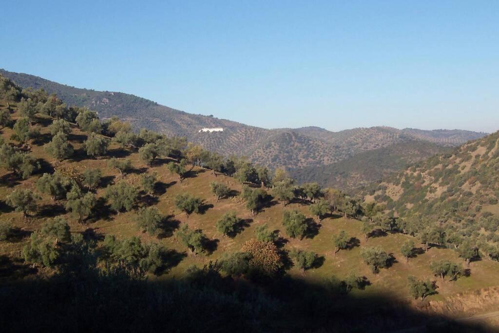 Cortijo "Era Grande 2" Villa Córdoba Exteriör bild