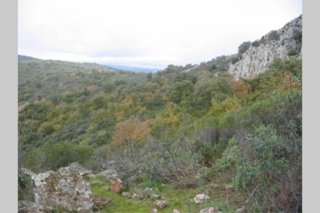 Cortijo "Era Grande 2" Villa Córdoba Exteriör bild