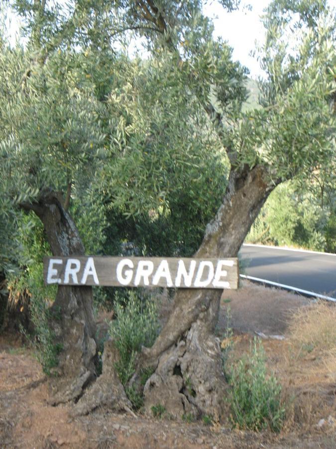 Cortijo "Era Grande 2" Villa Córdoba Exteriör bild