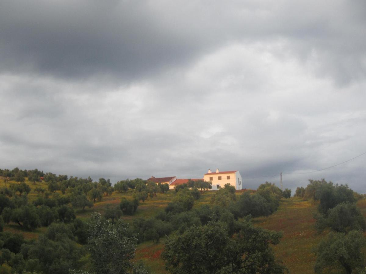 Cortijo "Era Grande 2" Villa Córdoba Exteriör bild