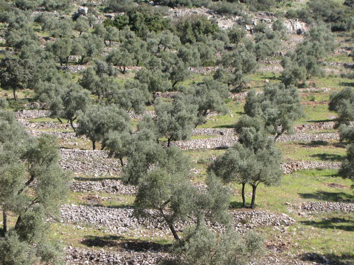 Cortijo "Era Grande 2" Villa Córdoba Exteriör bild