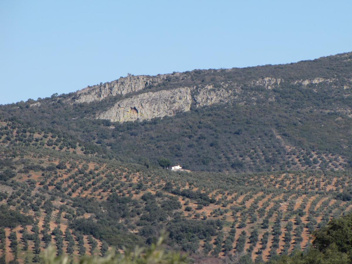 Cortijo "Era Grande 2" Villa Córdoba Exteriör bild