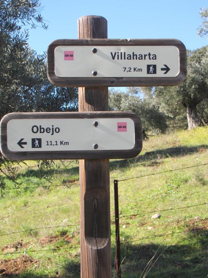 Cortijo "Era Grande 2" Villa Córdoba Exteriör bild