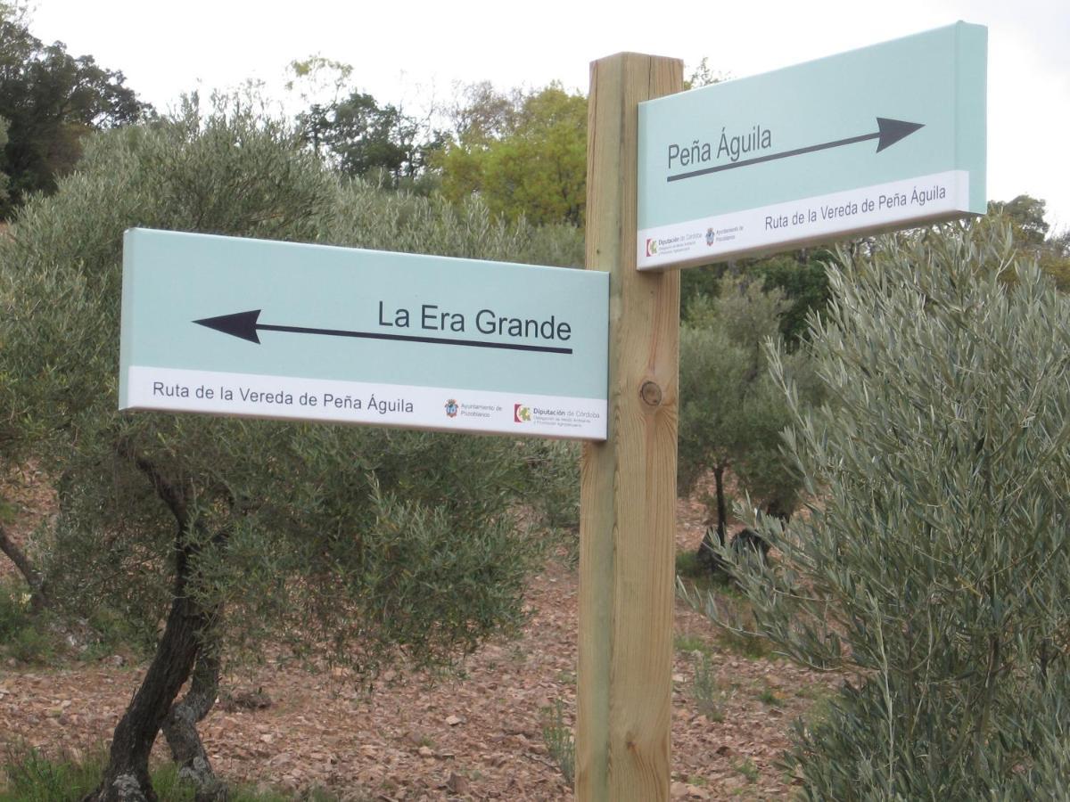Cortijo "Era Grande 2" Villa Córdoba Exteriör bild